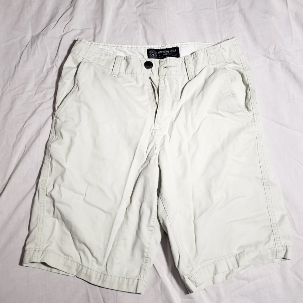 American Eagle Mens Longboard Light Tan Shorts